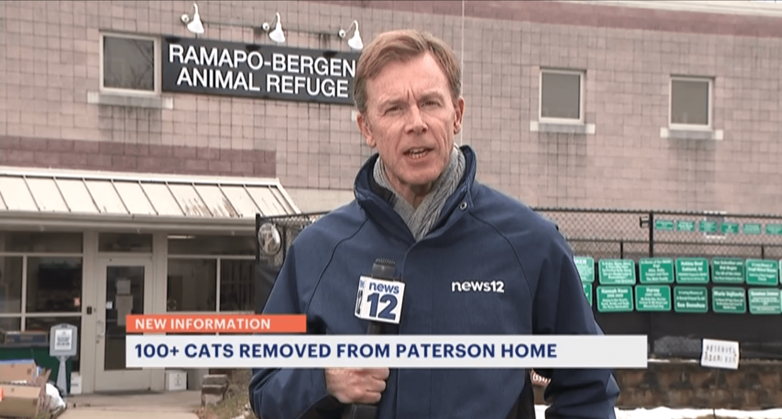 'It’s beyond deplorable.' 180 cats removed from Paterson home, officials say (News 12 New Jersey)