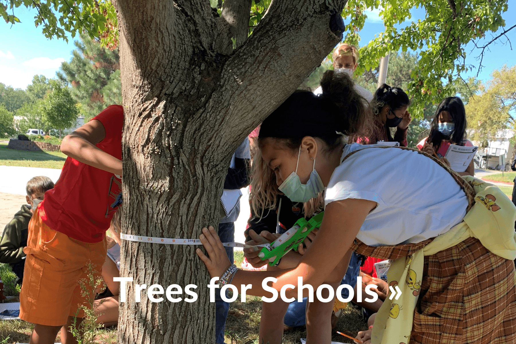 Trees for Schools