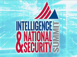 INSA Summit 2014 Banner