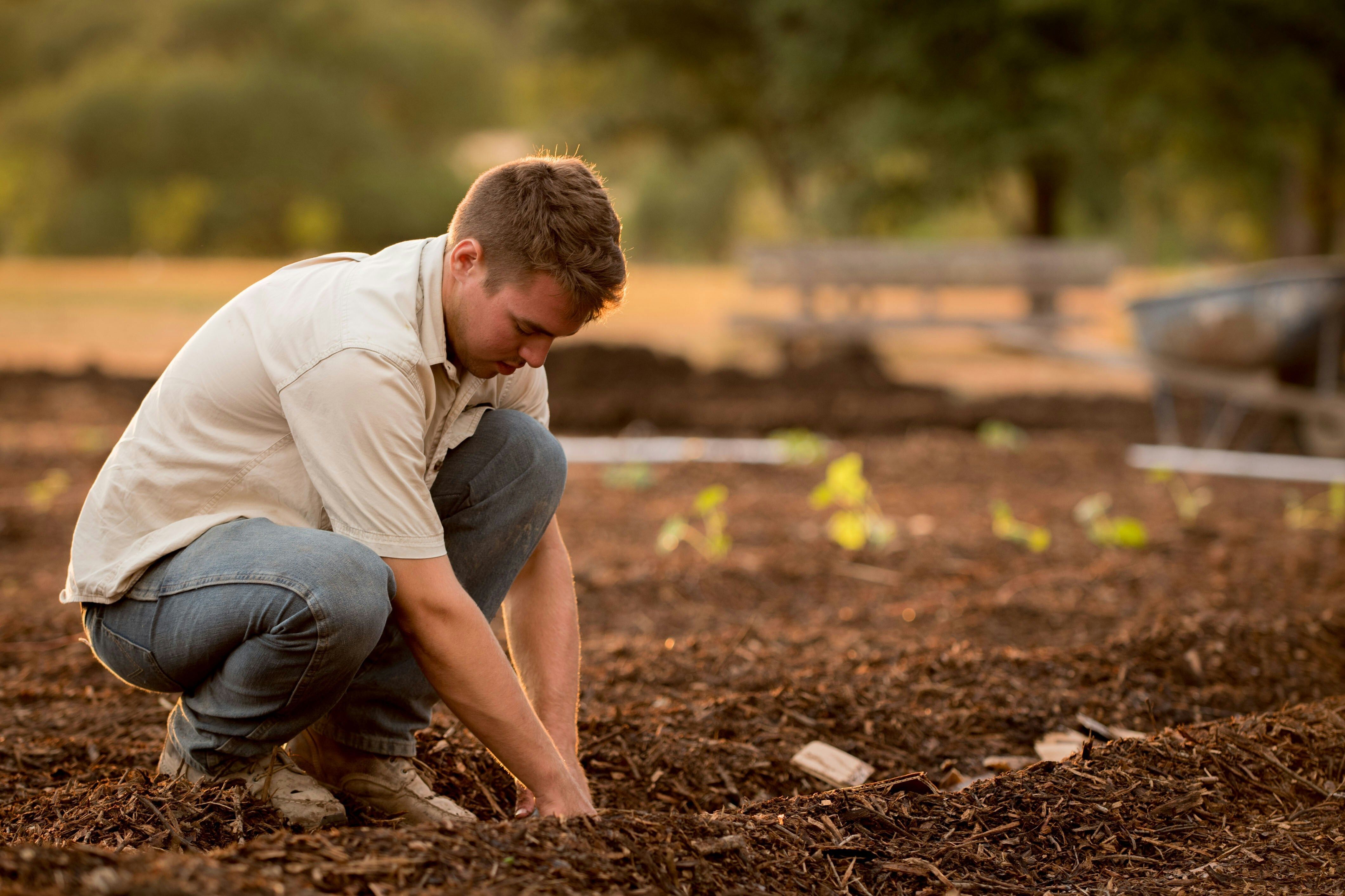 Volunteer in the Gardens