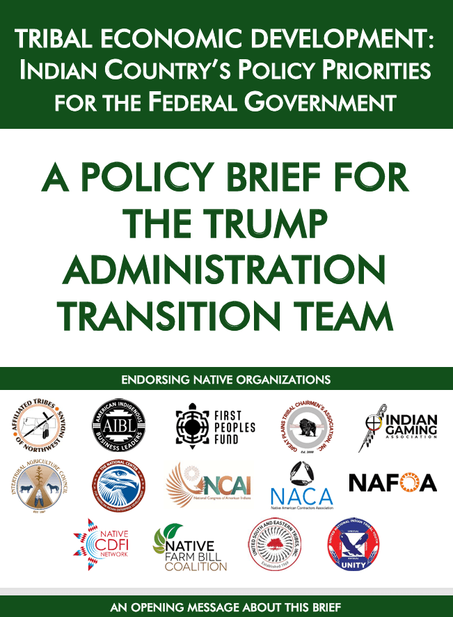 The National Center Joins 13 Other Native Organizations on Economic Policy Brief for Trump Administration Transition Team