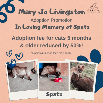 Mary Jo Promo