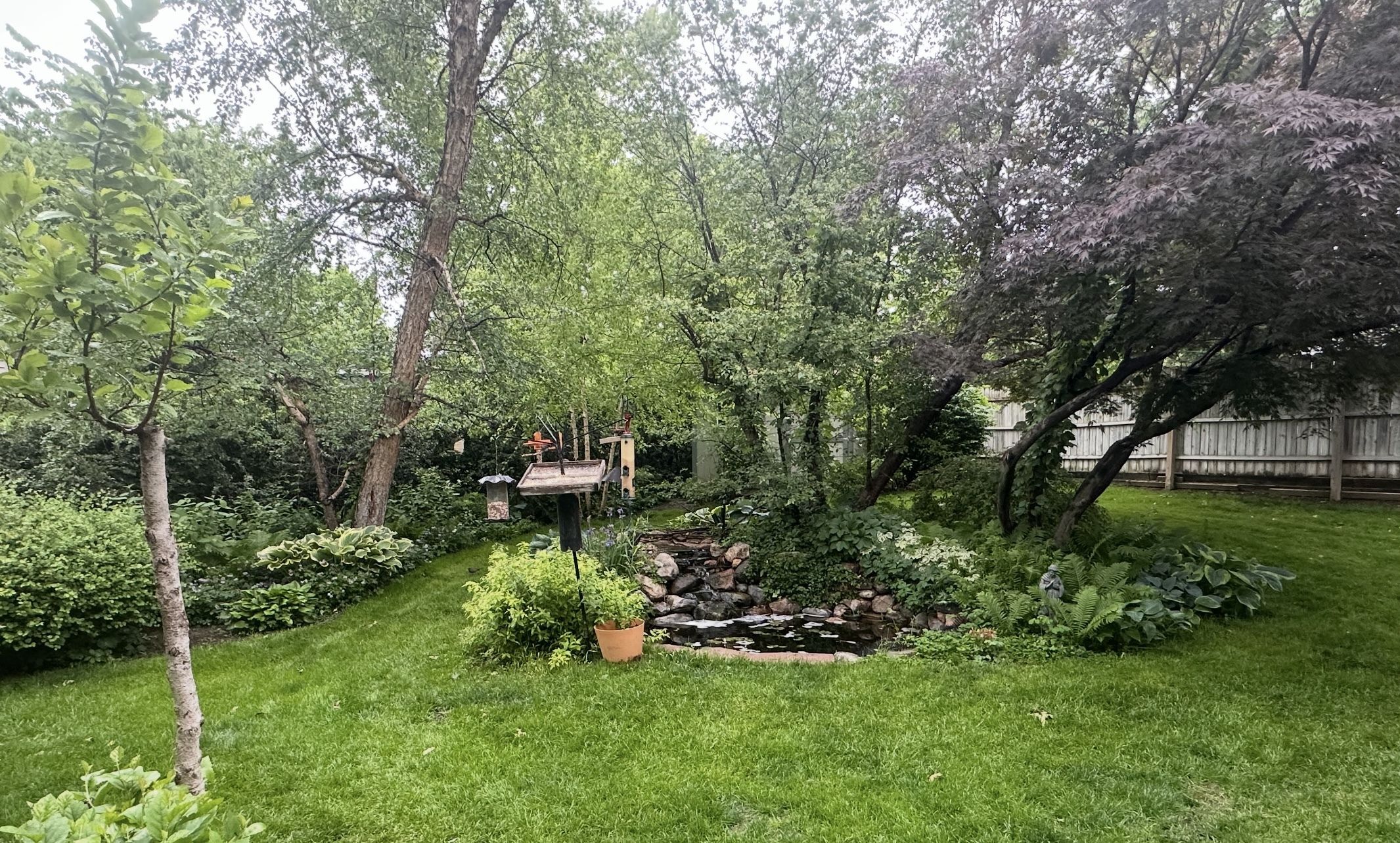 A photo of Phil Swanson's yard in spring showing flowering trees, shrubs and flower beds