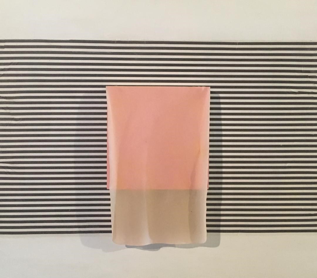 Carol Saft