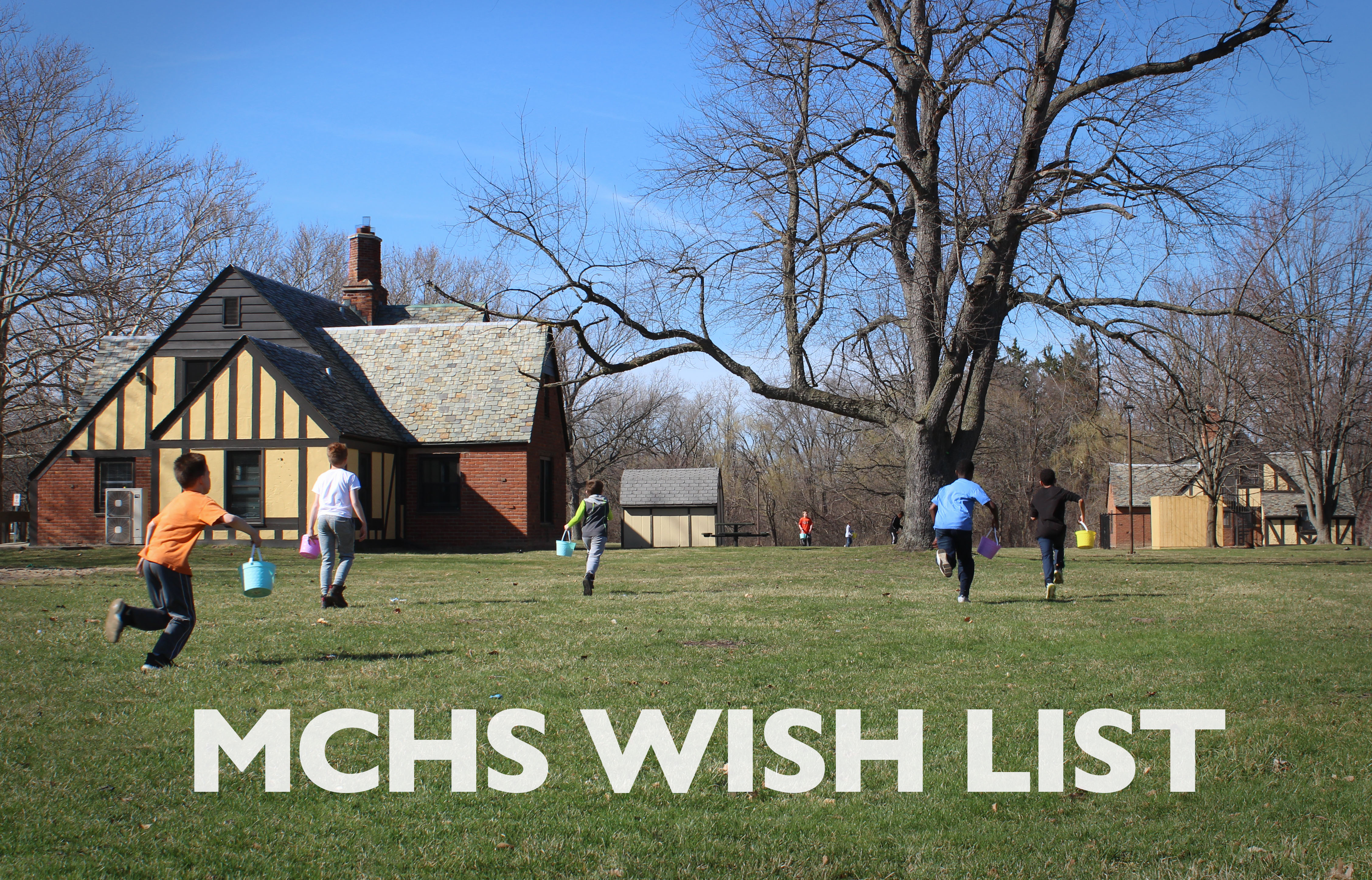 MCHS Wish List