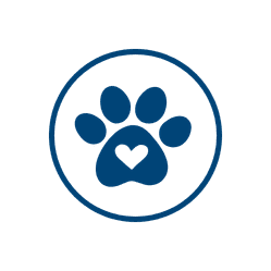 Promise for pets