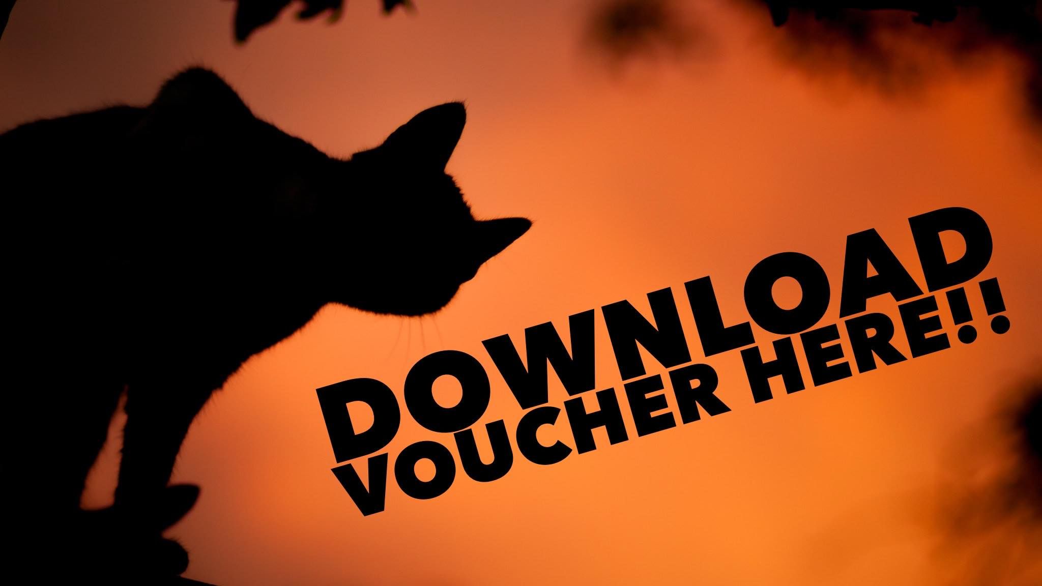 Image of black cat silhouetted in orange light with black text that reads "Download Vouchers Here"