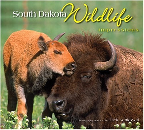 South Dakota Wildlife Impressions