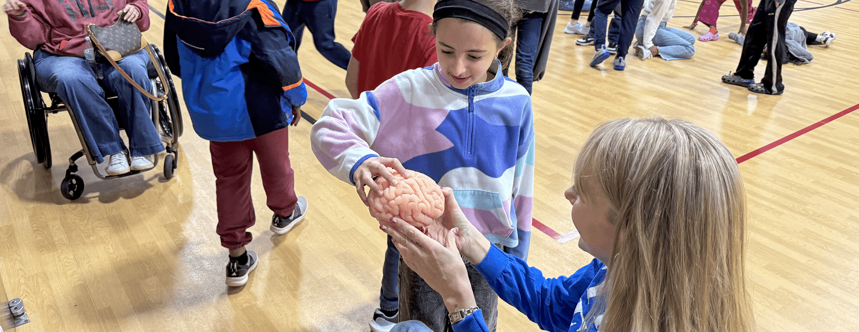 person in wheelchair showing brain to student