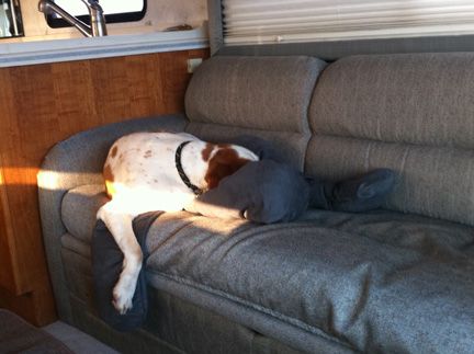 RV Upholstery (and Ty)