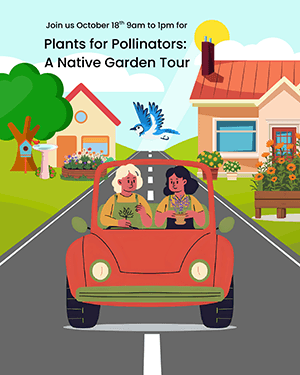 Plants for Pollinators: A Native Garden Tour