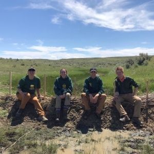 Mesic Restoration (LTPBR; Low Tech Process Based Restoration)