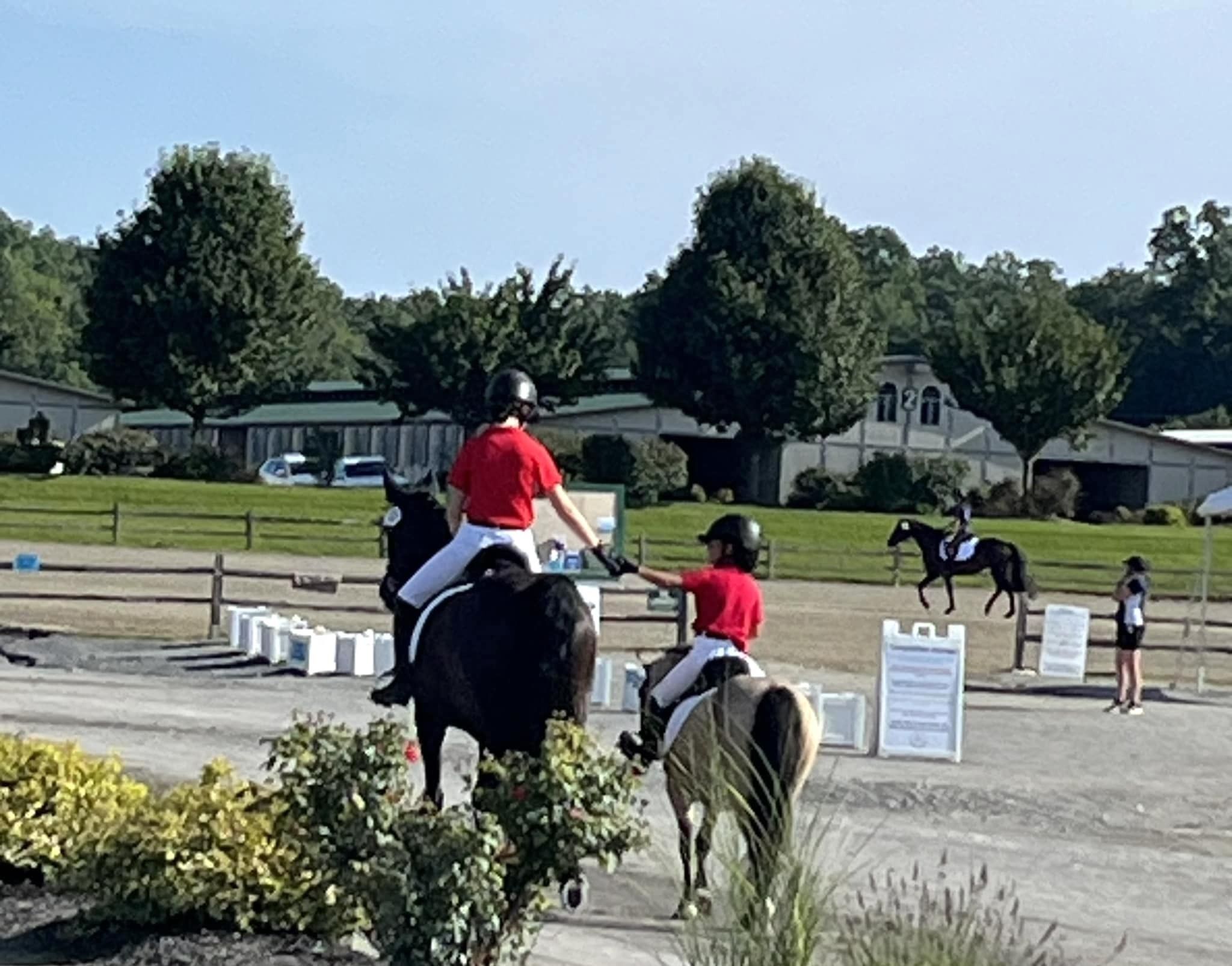 Person riding a light-colored horse in an arena.