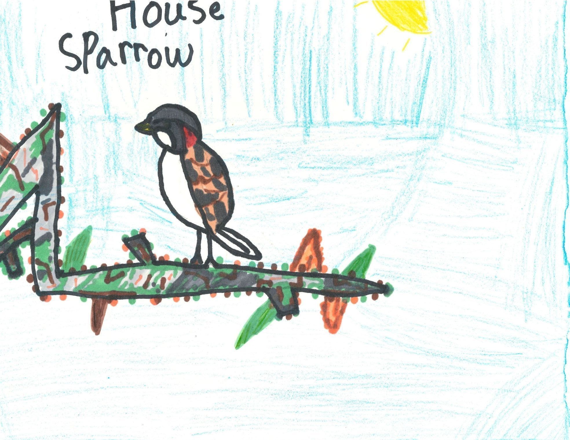 Catherine, 5th Grade