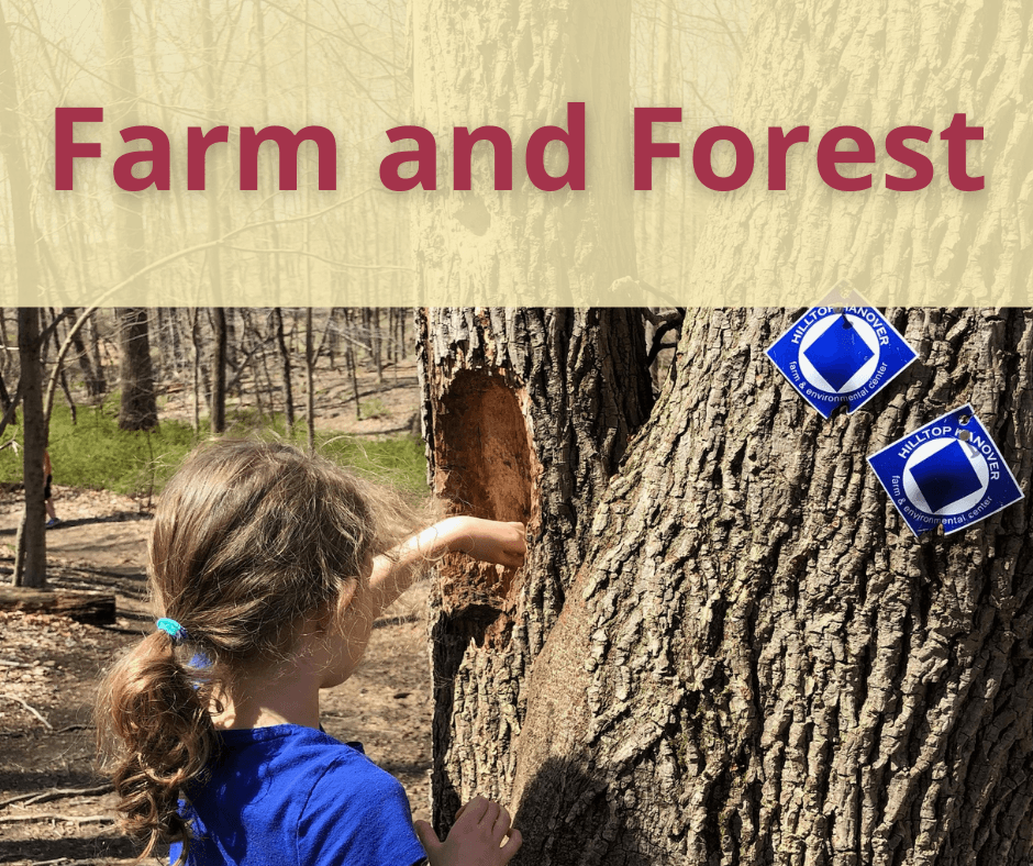 Farm and Forest: all grades