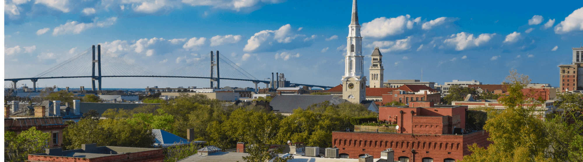 Urban Forest Stewardship: From Assessment to Action
