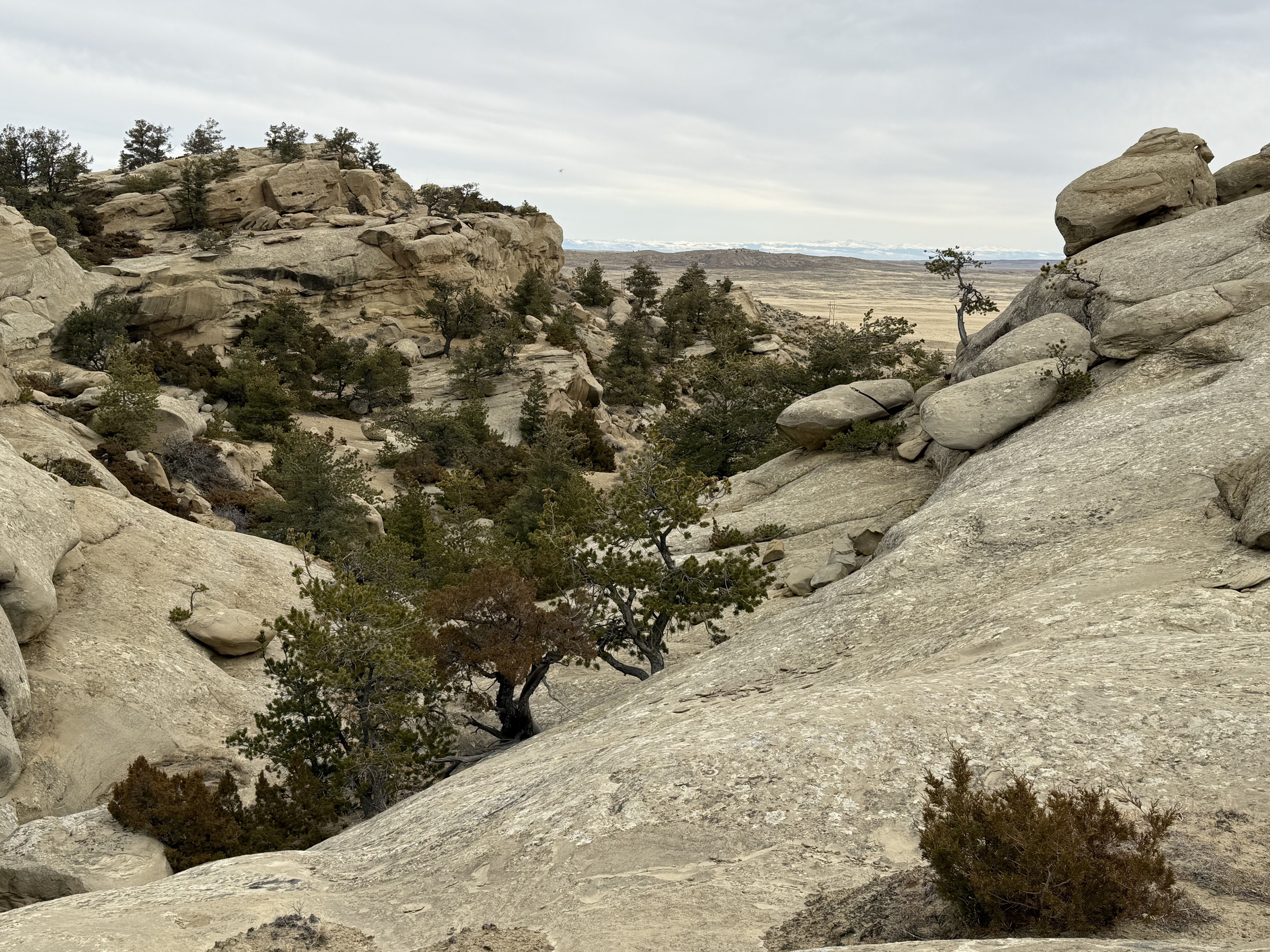 photo by Jenny DeSarro