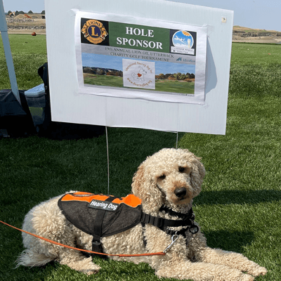 Centennial Airport Lions Annual Charity Golf Tournament 