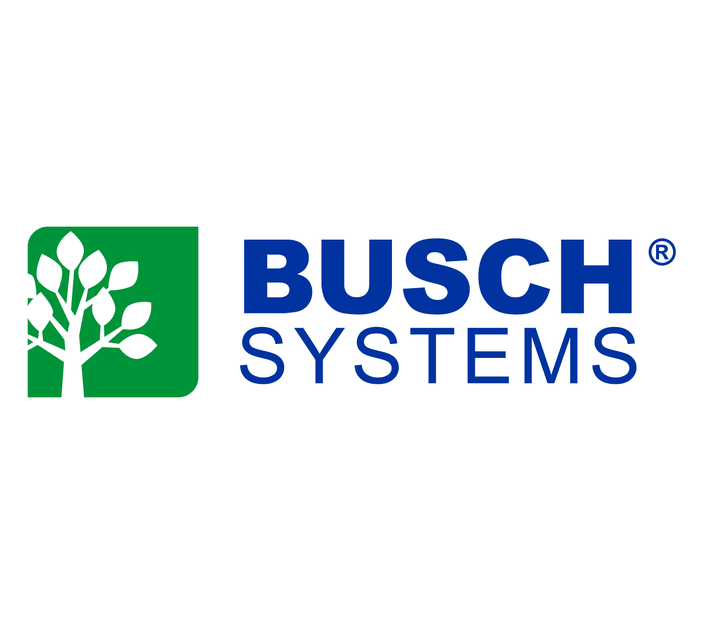 Busch Systems