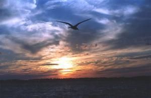 Daily Prayer April 7