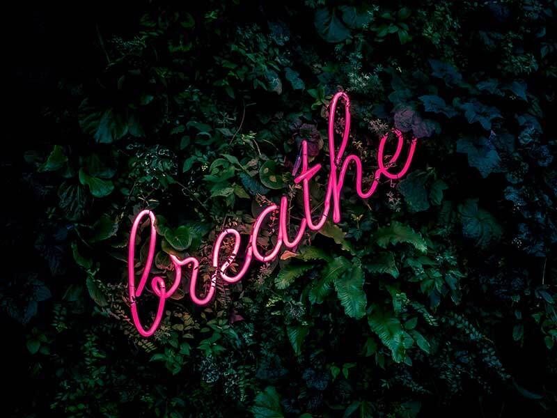 plant wall with neon pink sign breathe