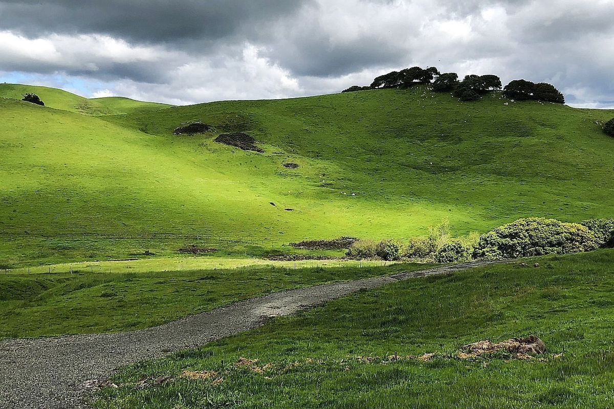 Lynch Canyon : Protected Lands : Solano Land Trust
