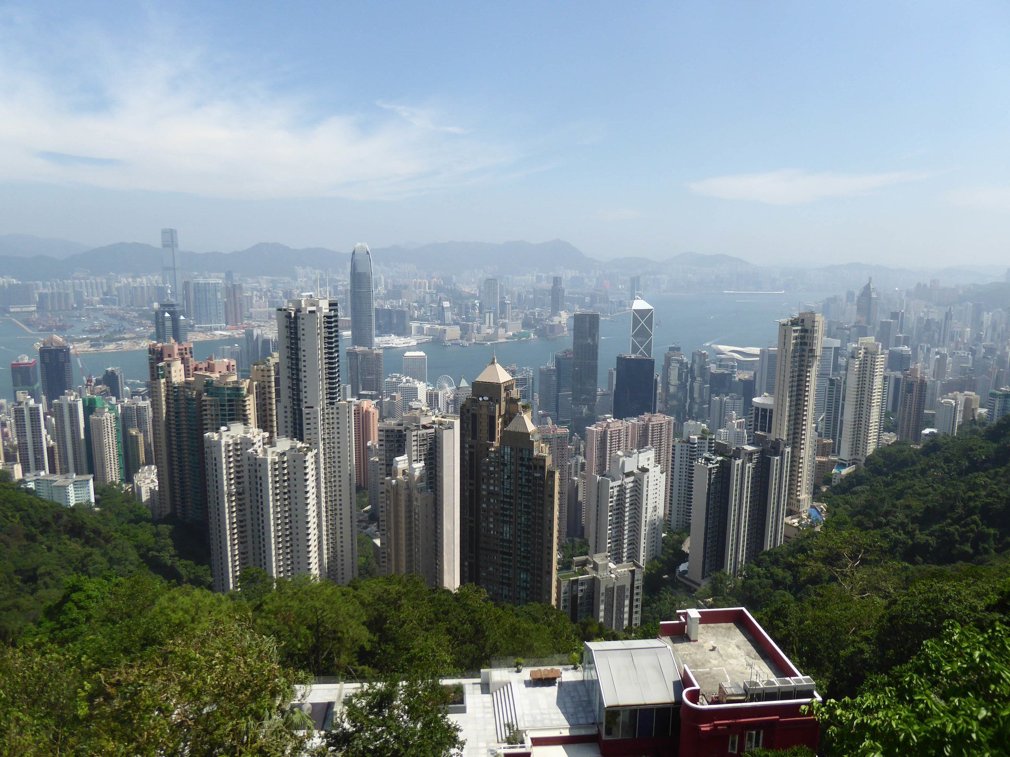 The skyline of Hong Kong with trees in the foreground