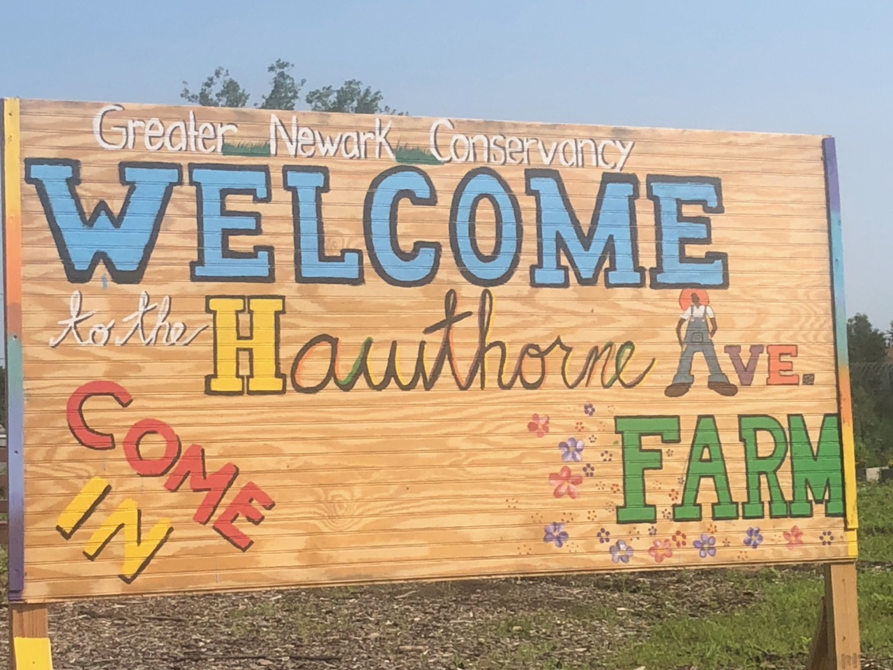 Summer Harvest in Full Swing at Hawthorne Avenue Farm