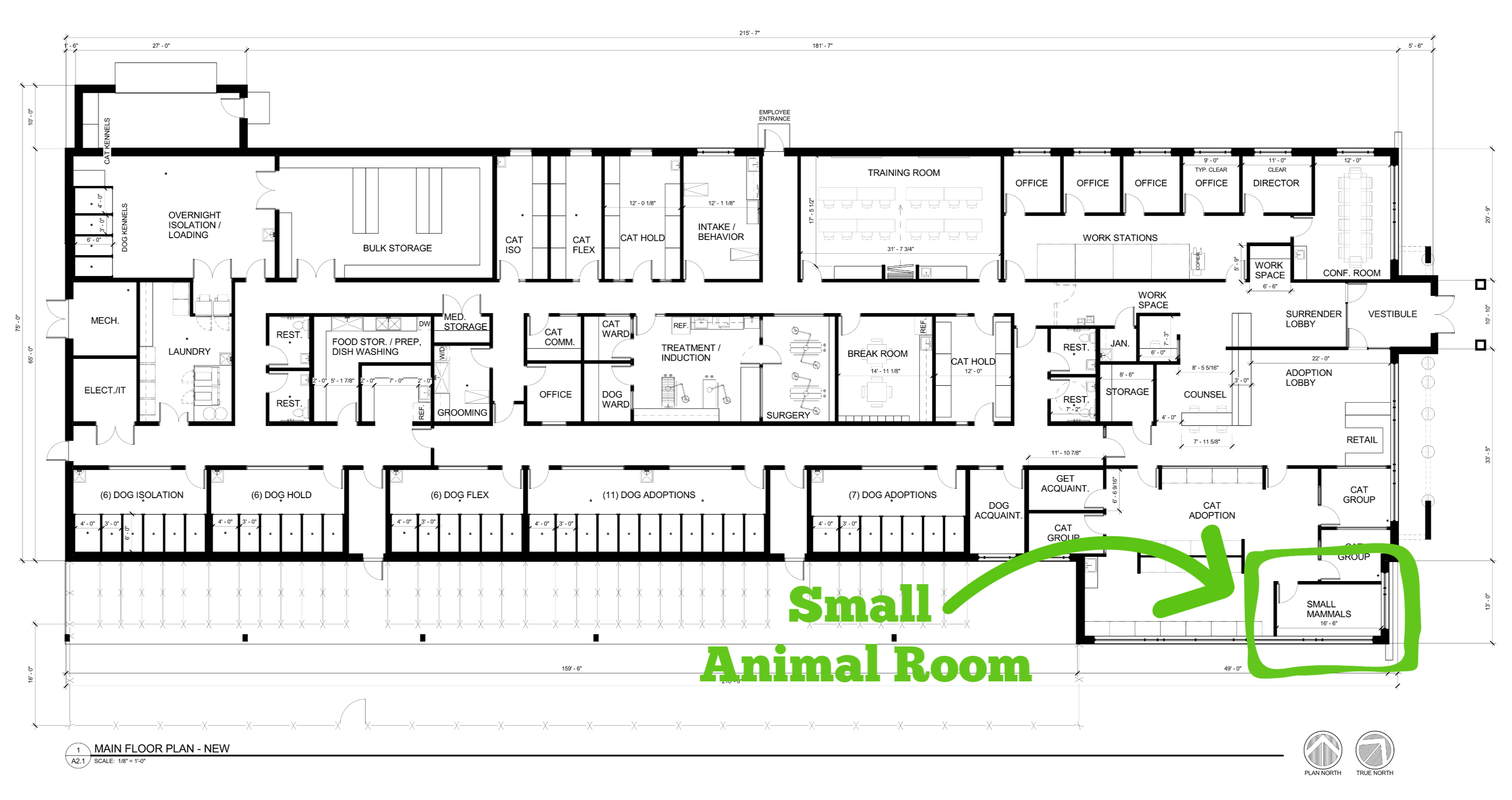 Small Animal Room