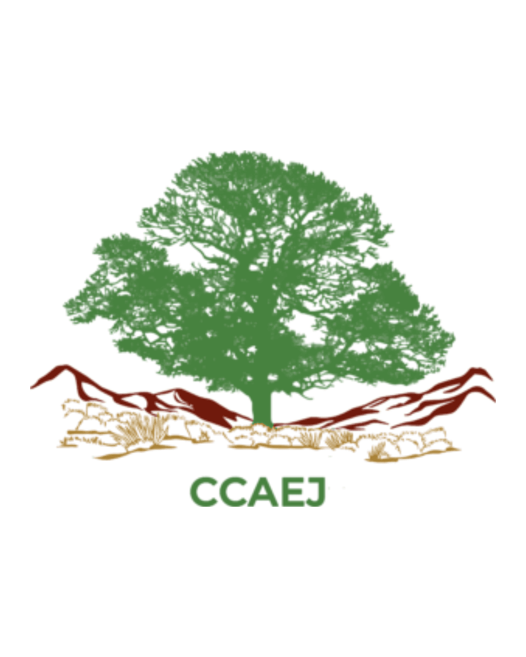 Center for Community Action and Environmental Justice (CCAEJ) - Riverside and San Bernardino Counties