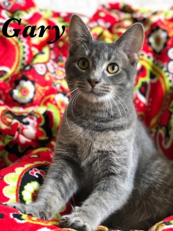 Gary 11319