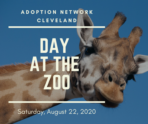 Day At The Zoo Adoption Network Cleveland