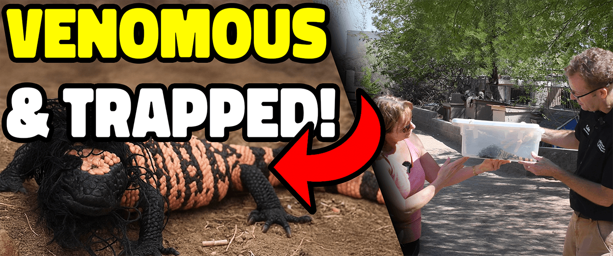 New Video on YouTube!