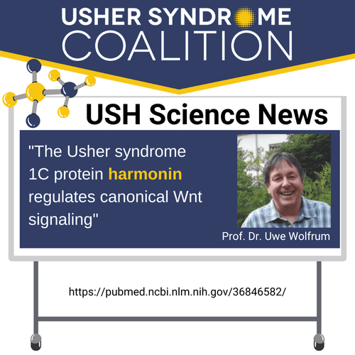 USH Science News featuring the article title, "The Usher syndrome 1C protein harmonin regulates canonical Wnt signaling". There is also a photo of Prof. Dr. Uwe Wolfrum who is a white man with brown hair. He's smiling and is wearing a blue checkered shirt