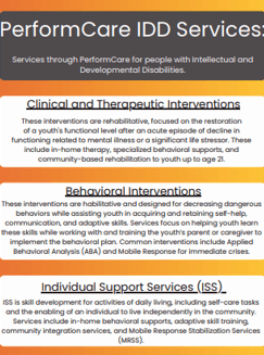 PerformCare IDD Services