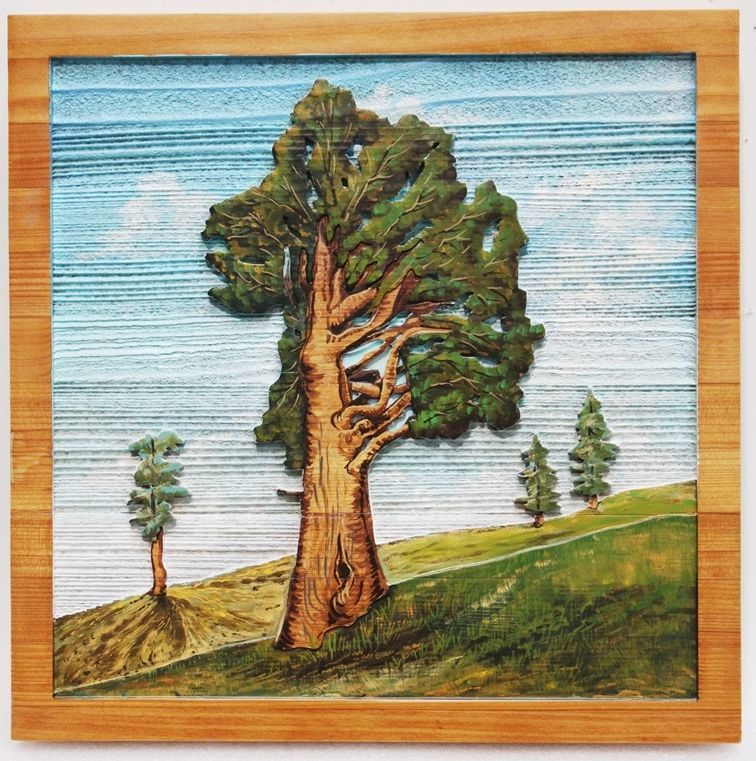 G16226 - Carved and Sandblasted 2.5-D Western Red Cedar Wood  Plaque with  a large Sequoia Tree on a Mountain Slope as Artwork