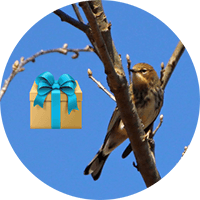 Gift Membership