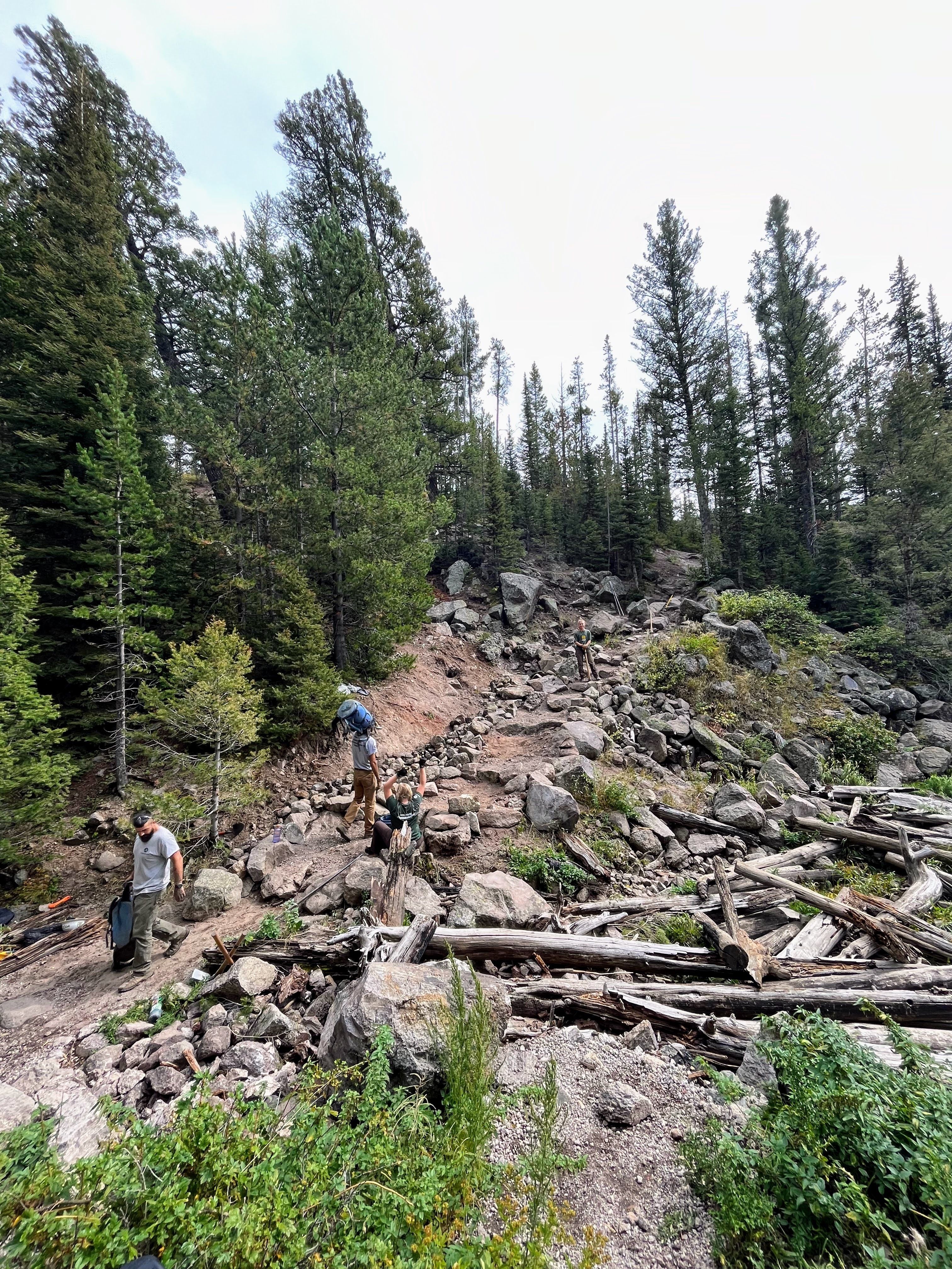 A view down onto a trail on the hillside. There are 4 crew members interspersed along the trail.