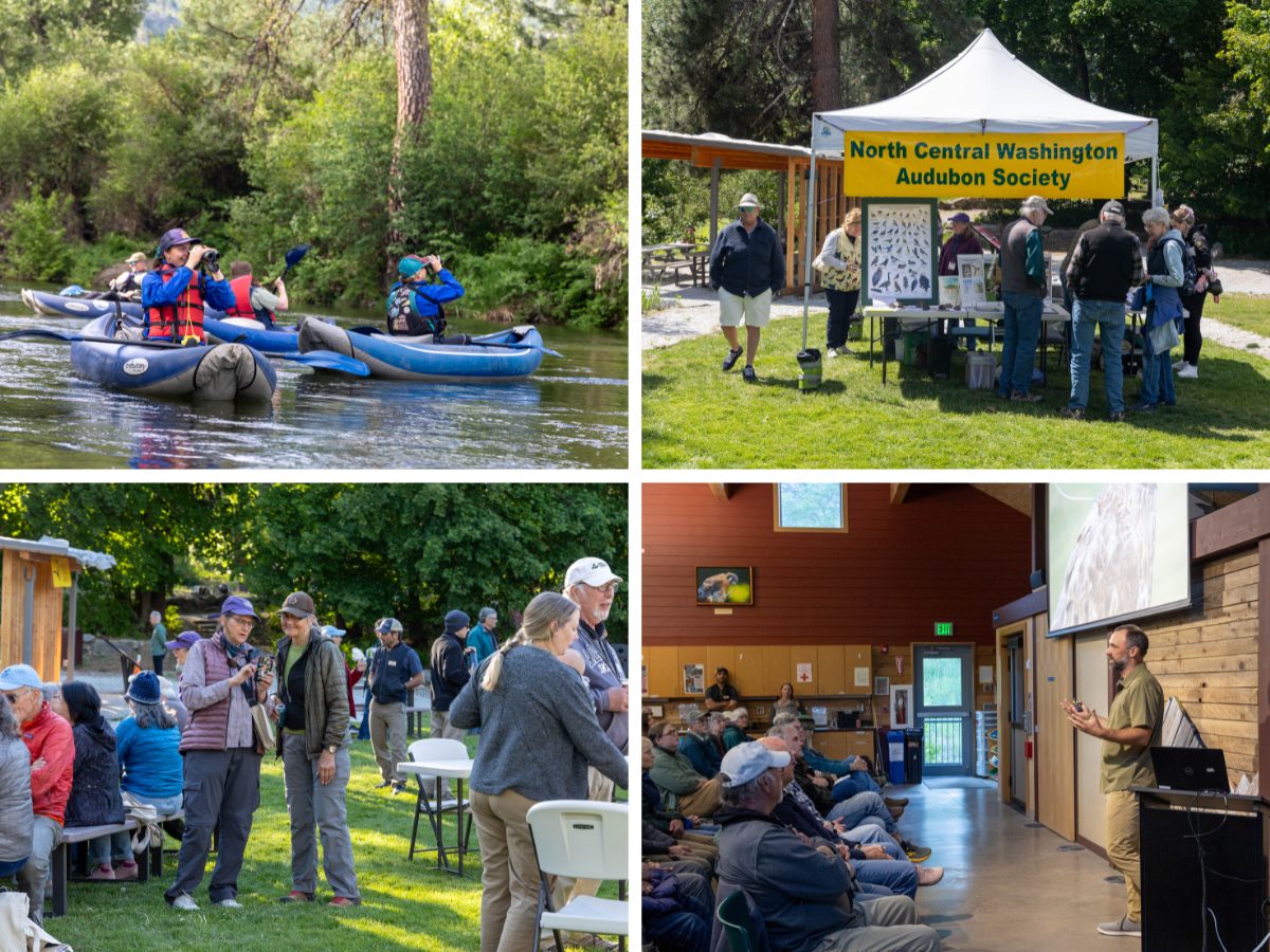 A collage from Bird Fest with birding by kayak, Community Fair, Birders' BBQ, and the Keynote.