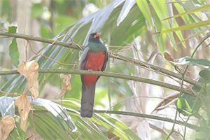 Travel to Belize