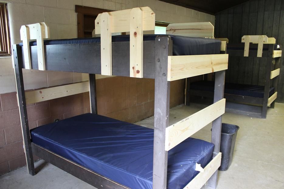 Shaulis Cabin Bed