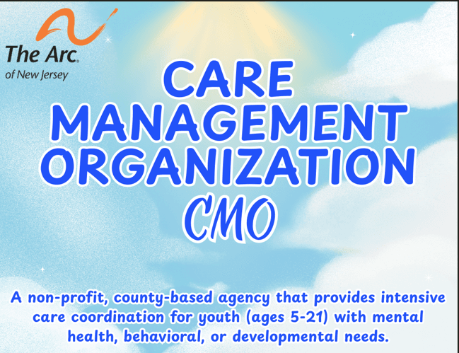 Care Management Organization