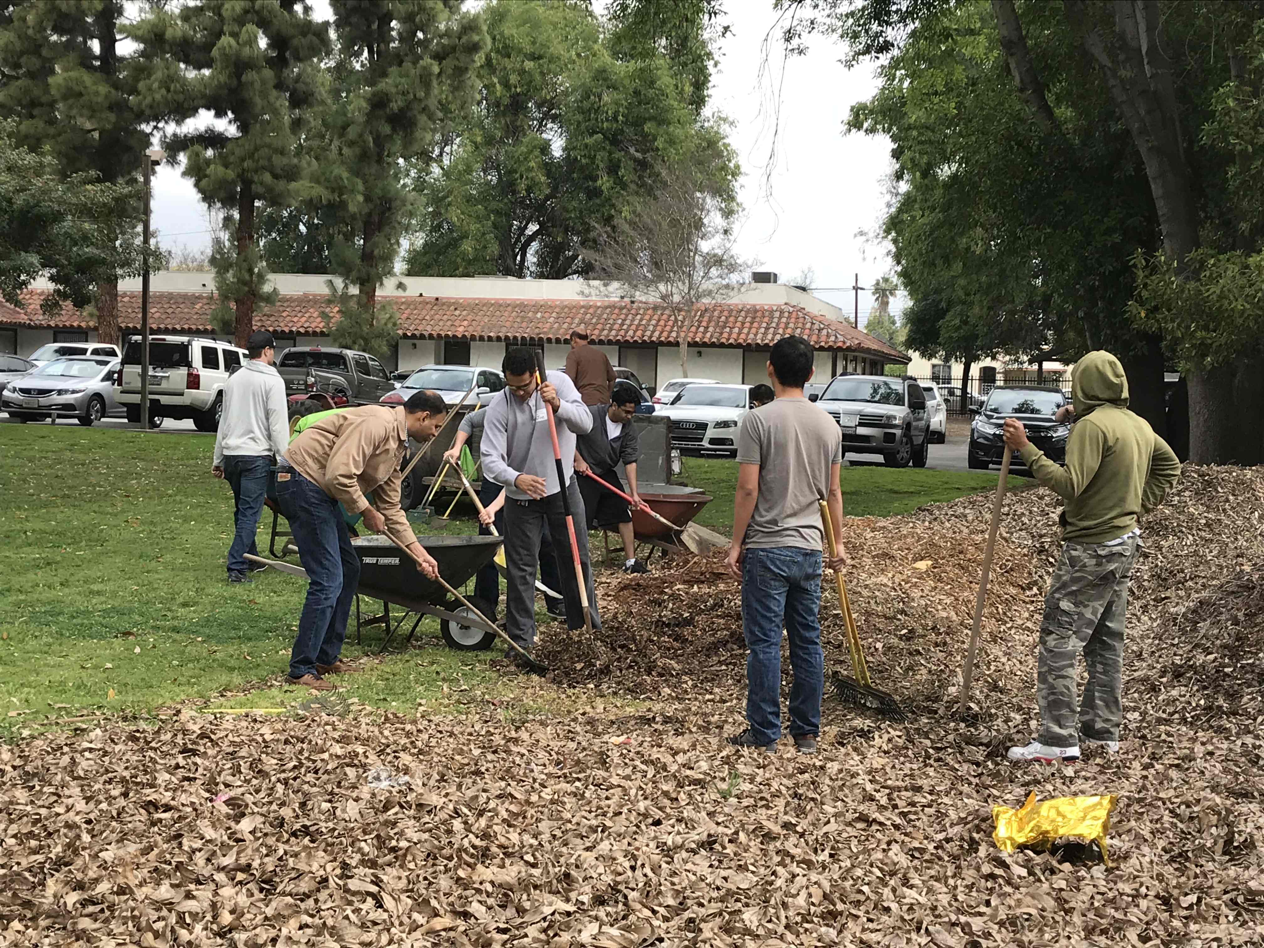 Summer Service Day
