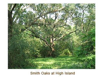 Smith Oaks