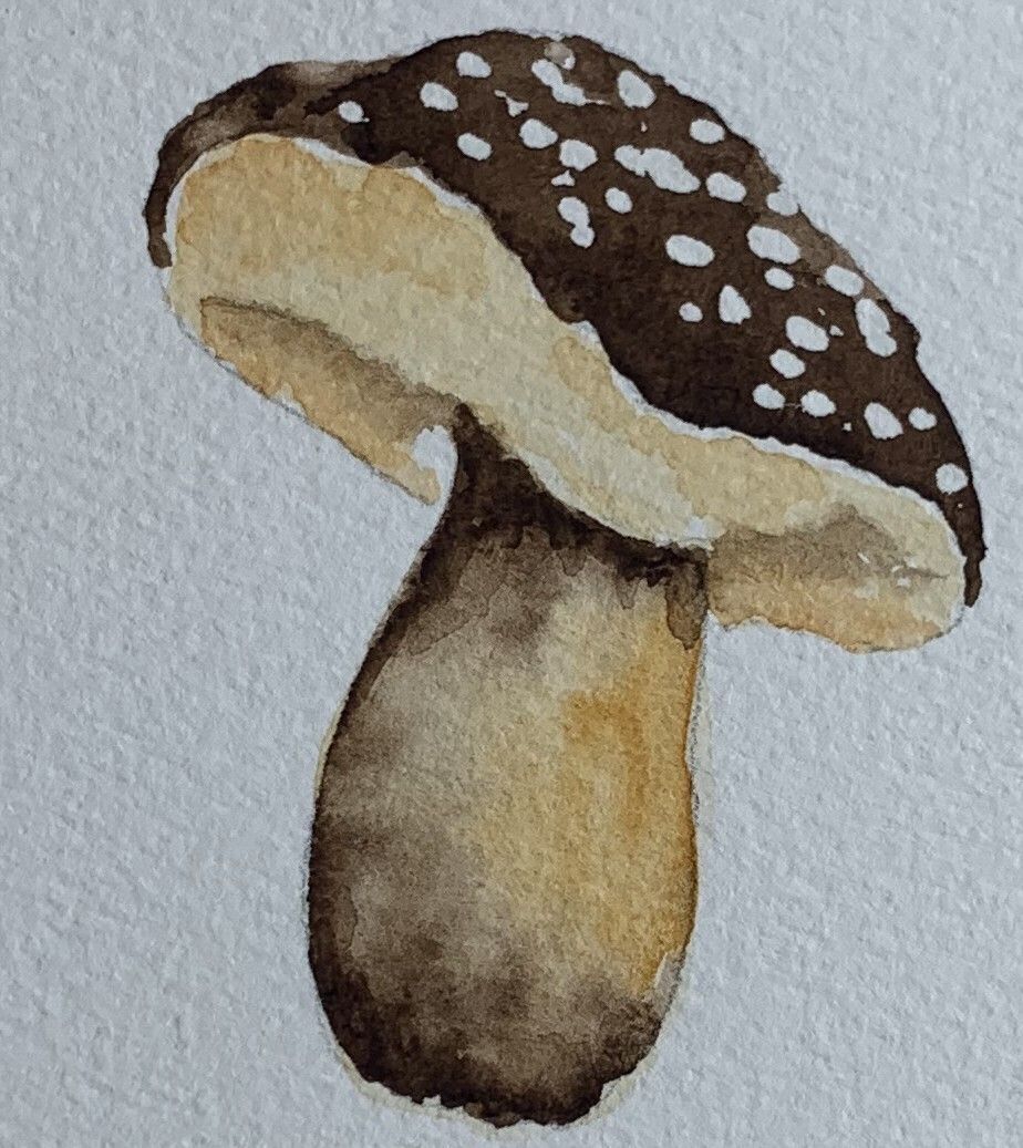 February 18, Mushroom