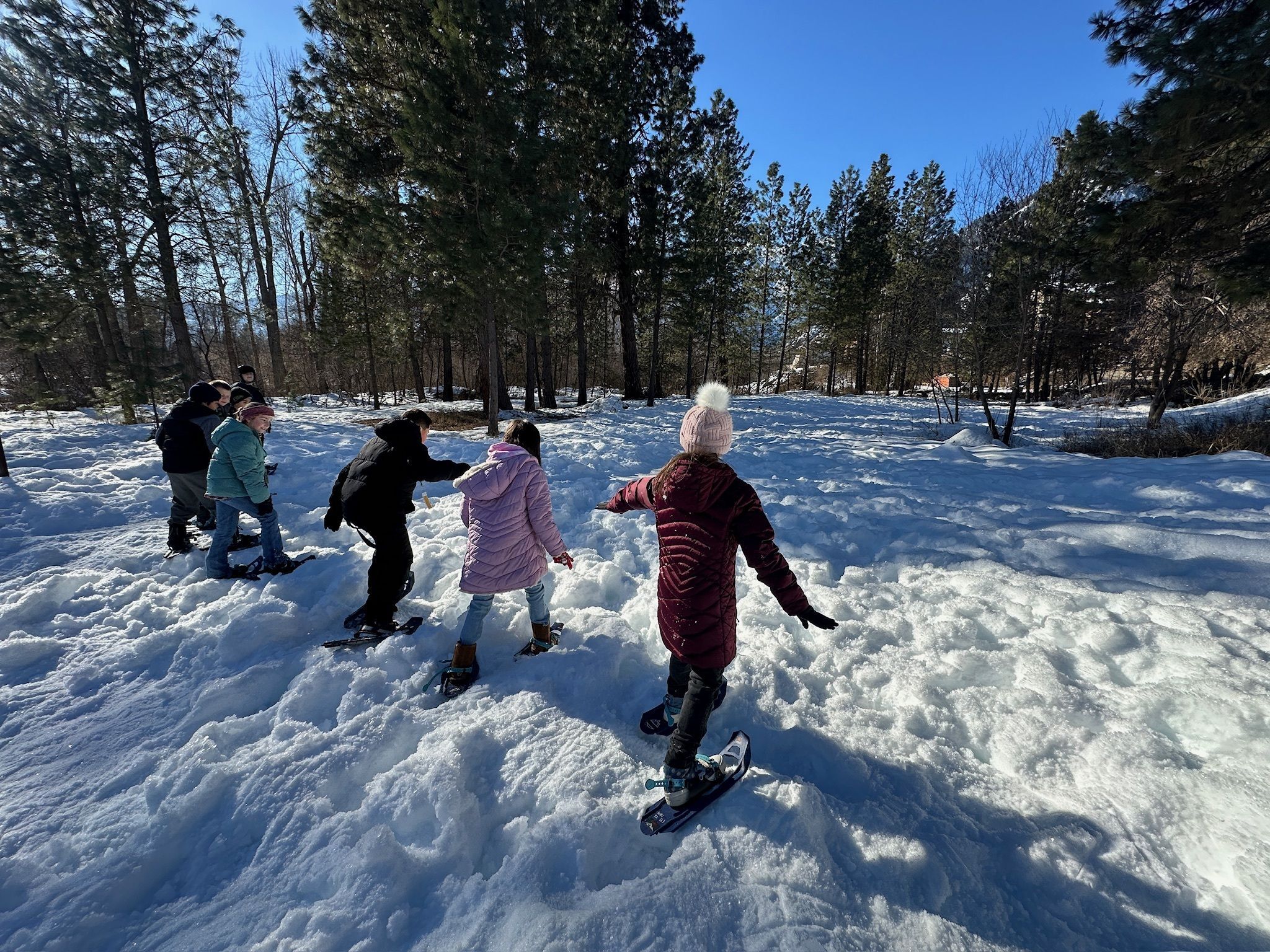Snowshoe Adventures Field Day