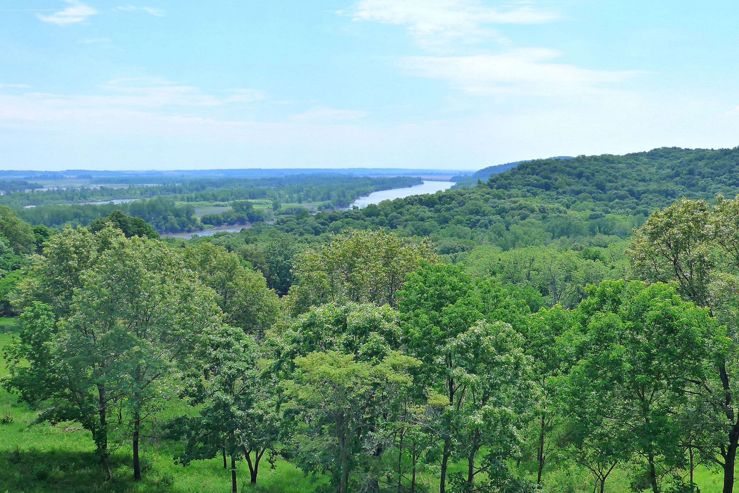 Missouri River bluffs with trees in green summer foliage on a sunny day as seen from Indian Caves State Park
