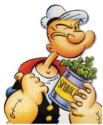 This is a picture of a cartoon man holding a can of spinach