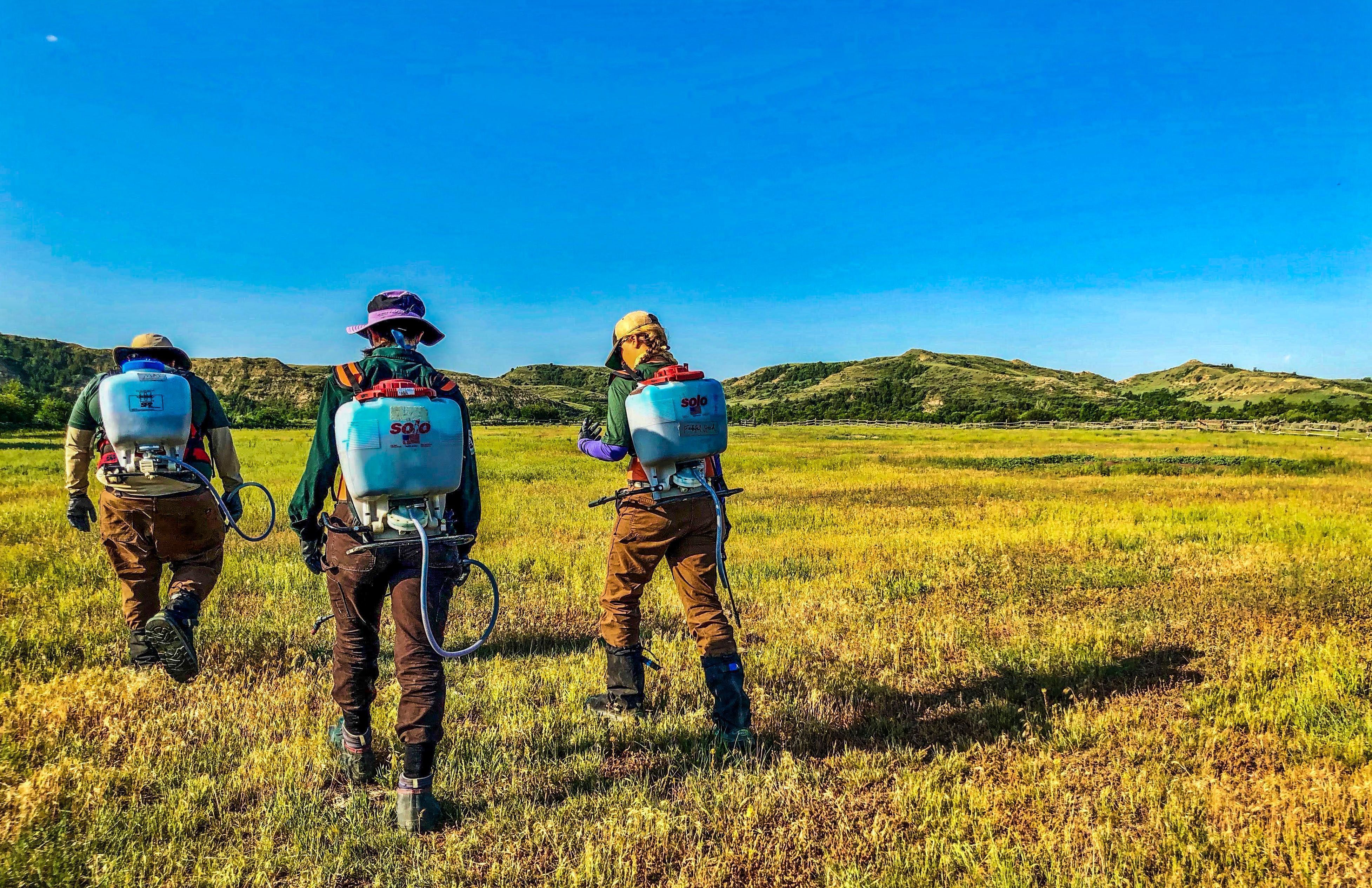 [Image description: Three MCC Members walking away from the photographer, into a beautiful wide open field, armed with weed spraying backpacks for range use.]