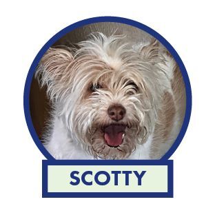 Scotty